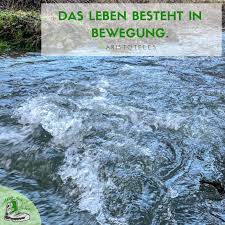 Die Schonsten Spruche Wandern Liebe Natur Und Mehr Aktiv Durch Das Leben De Wanderblog