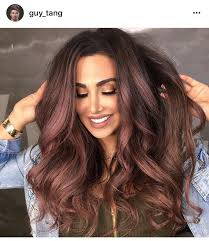 Rose Gold Highlights On Chocolate Brown Hair Burgundy Hair Hair Color Dark Hair Styles