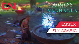 Ac Valhalla Fly Agaric Essex Hallucination Challenge Mushroom Mystery Youtube