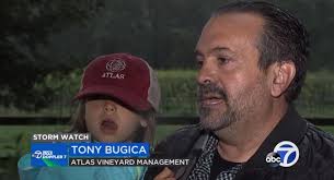 Atlas Vineyard Management