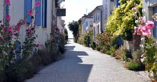 Don't want to waste time trying to find the essential shops, services, etc? What To Do In Talmont Sur Gironde Charente Maritime The Good Life France