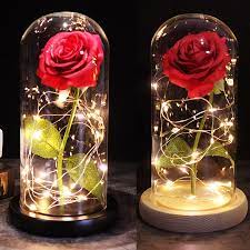Colorful glass roses are great gifts for lovers, and glass dome rose also an amazing decoration for a centerpiece in the living room, bedroom, desk. Medium Beauty And The Beast Rose Rose In Glass Dome Forever Rose Red Rose Preserved Rose Belle Rose Special Romantic Gift Artificial Dried Flowers Aliexpress