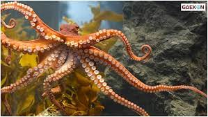 Sel hewan berbeda dari sel eukariotik lain, seperti sel tumbuhan, karena mereka tidak memiliki dinding sel, dan kloroplas, dan biasanya mereka memiliki vakuola yang lebih kecil, bahkan tidak ada. 5 Hewan Laut Yang Keunikannya Jarang Kita Ketahui Gaekon