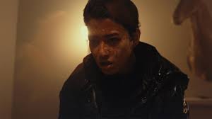 SAYARA, ANIMALE, WHO'S WATCHING: three Brooklyn Horror Fest flicks that  offer thrills and chills — Moviejawn