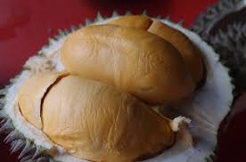 Isinya berbentuk lebih bulat jika dibandingkan dengan durian lain dan biasanya. Termurah Hp Wa 0813 2711 9234 Beli Pohon Durian Duri Hitam Ke Jawa Tengah Buah Hitam Alpukat