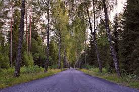 Maybe you would like to learn more about one of these? Hd Wallpaper Road Tree Forest Nature Sweden Scenic Outdoor Environmental Wallpaper Flare