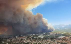 Aug 14, 2021 · stiri / incendiu mogosoaia. Incendiu Puternic La O HalÄƒ Din Mogosoaia A Fost Newsteam Ro