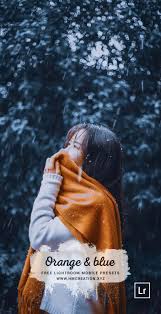 Orange And Blue Lightroom Presets In 2020 Lightroom Presets Download Lightroom Lightroom Presets Tutorial