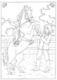 63 Kleurplaten Van Paarden Kleurplaten Paarden Paard Tekeningen