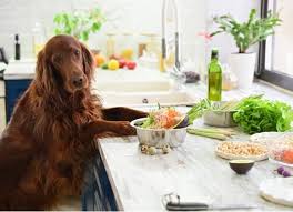 Pour in aminos and stir; Homemade Dog Food Tips For Cooking For Your Dog Petmd