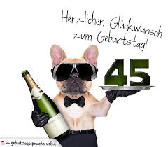 Glückwunschkarte Mit Hund Zum 45 Geburtstag Geburtstagssprüche Welt