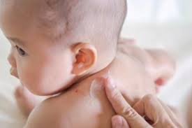 Sebelumnya, perlu diketahui bahwa hewan ini biasa ditemukan di daerah persawahan, ladang. 8 Tips Hilangkan Kesan Gigitan Nyamuk Pada Bayi Secrets Living