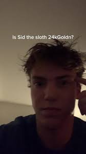 Sid The Sloth Sigma