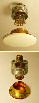 What Are Fire Sprinkler Cover Plates Fox Valley Fire Safety