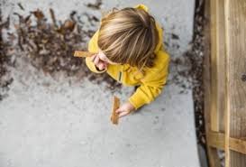 Check out diabetic kitchen's cinnamon pecan granola cereal. Diabetic Kitchen Beats Kellogg S General Mills Post And Other Breakfast Cereal Giants To Top Amazon S Grocery Rankings