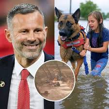UPDATE: Thousands of Dogs Saved, Texas Gets Major Relief From Baltimore  Ravens Head Coach John Harbaugh, Who Donated $30 Million to Build Mobile  Rescue Camps, Search and Rescue Dogs in Flooded Areas…