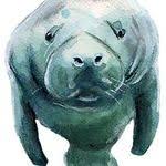 Gurney Journey Monkeys Funny Goats Pet Monkey