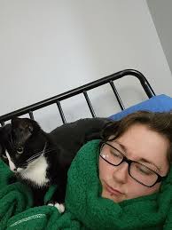 Lost black and white cat in Cantrell Hills