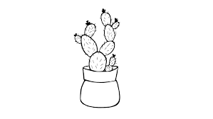 A cactus (plural cacti, cactuses, or less commonly, cactus) is a member of the plant family cactaceae, a family comprising about 127 genera with some 1750 known species of the order. Templates Edding