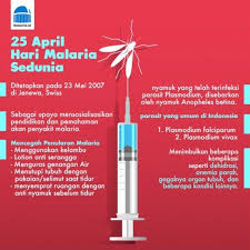 Hari Malaria Sedunia Kenali Sejarah Gejala Dan Pencegahan Jenewa Tanaman Obat Losion