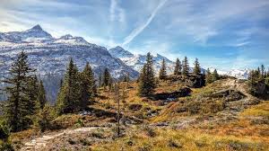 Entdecken sie unsere bahnreisen, wie zum beispiel den legendären glacier express oder den fantastischen bernina express. Wandern In Vals Panoramaweg Zum Zervreila Stausee