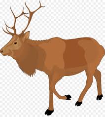 This is a simplified cartoon version of a pig. Animal Cartoon