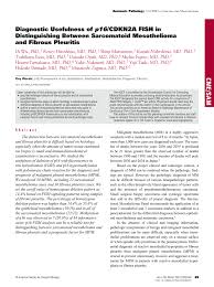 This is the rarest cell type for mesothelioma but the most aggressive. Pdf Diagnostic Usefulness Of P16 Cdkn2a Fish In Distinguishing Between Sarcomatoid Mesothelioma And Fibrous Pleuritis