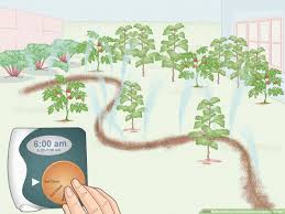 This requires special emitters with threaded connections rather than barbs. How To Set Up An Inexpensive Irrigation System 14 Steps