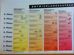 Content of these documents are copy right protected. Entwicklungstabelle Beller Zum Ausdrucken Hier Finden Sie Kostenlose Bastelanleitungen Rund Um Winter Weihnachten Und Die Adventszeit