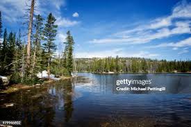 46 Pettingill Stock Photos, High-Res Pictures, and Images