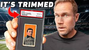 Helen Heights Highlights