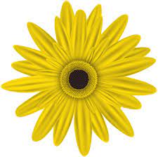 Yellow Flower Clip Art Png Image Flower Clipart Digital Flowers Yellow Flowers