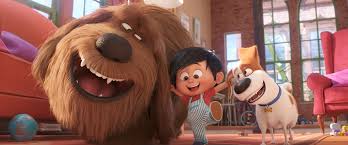 We used we love pets to look after our 2 cats for the weekend. The Secret Life Of Pets 2 Movie Review 2019 Roger Ebert