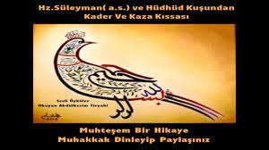 hz suleyman a s ve hudhud kusu youtube