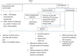 Image result for Cerebellar Function Test