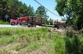 For over 25 years, yardworks, inc. L L Tree Service 206 Shadwell Dr Jacksonville Nc 28540 Yp Com
