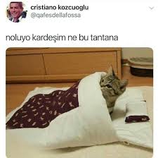 Esprituel 2020 Komik Komik Capsler Komik Seyler