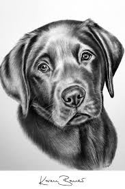 Wartungsarbeiten finden nach ankündigung montags von 7:00 uhr bis 9:00 uhr statt. Cute Labrador Puppy Original Graphite Pencil Drawing In 2021 Tierzeichnung Hundezeichnung Hund Malen