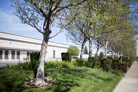 J and p plumbing and sprinkler repair. Home Sea Of Green Lawn Services