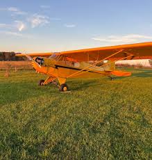 Image result for Natural Yellow 1999 Fleet