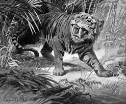 Saber-Toothed Cat Printout- Enchantedlearning.Com