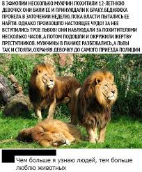 чем больше я узнаю людей тем больше я люблю собак Pin Ot Polzovatelya Vorokhova Na Doske Veselye Vyskazyvaniya Strashnye Foto Memy Samye Smeshnye Kartinki