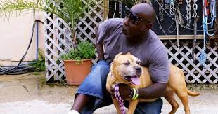 When you're dealing with an addiction, those chances go up significantly. Pit Bulls Parolees Season 16 Episode 6 Earl And Toney Rescue A Tied Up Pup From An Abandoned Home Meaww