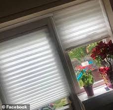 This blind has no cord or hidden cord design, the materials and products have been tested strictly for safety. Ikea Wows Home Improvement Fans With 3 Blinds That Fits Any Window Daily Mail Online