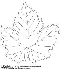 Chez dessin à colorier du net vous trouverez une variété de beaux dessin à imprimer pour ensuite les colorier. Feuille De Vigne Dessin Recherche Google