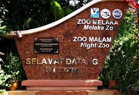 Please don't compare to zoo in central new york that get paid billions yearly or london zls that run on pound sterling. Melaka Zoo Night Safari Our Memory