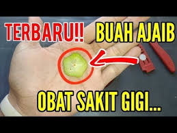 Ajaib Cukup Sederhana Mengobati Sakit Gigi Berlubang Obat Alami Sakit Gigi Youtube Obat Alami Gigi Penyakit