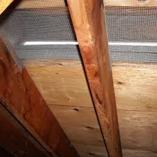 Find cat clothes from a vast selection of weed & pest control. Services Catsusa Pestcontrol California