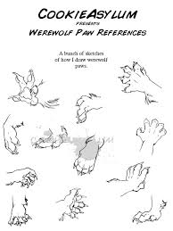 Each tutorial breaks the process down into easy to follow steps. 120 Draw Animal Feet Paws Claws Hoofs Ideas Animal Drawings Paws And Claws Drawings