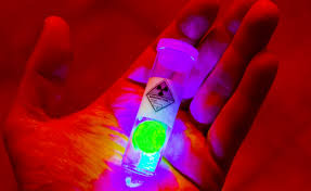 Its nucleus is unstable, so the element is in a in 1897, french physicist henri becquerel left some uranium salts on a photographic plate as part of some research on how light influenced these salts. Uranium The Demon Metal That Threatens Us All